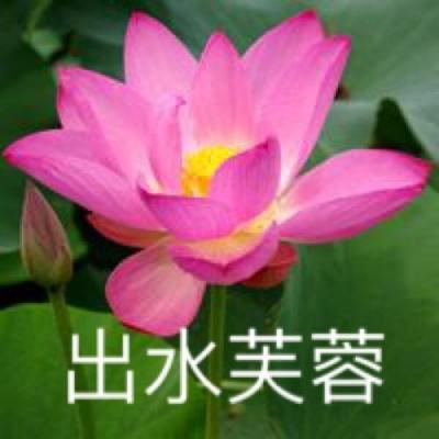 炽焰帝国创始国服版